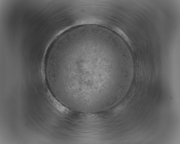 X0000074971072200609011210