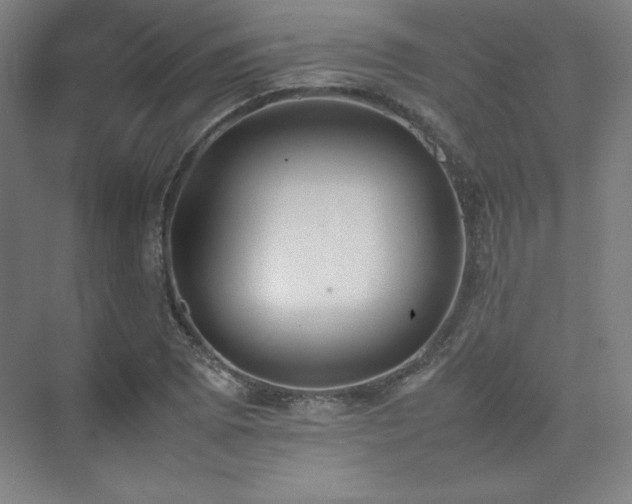 X0000074971073200609011210