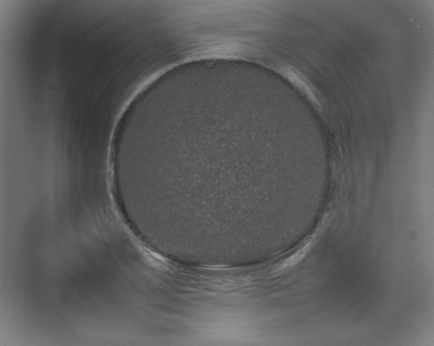 X0000074971077200609011210