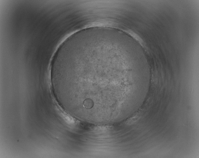 X0000074971078200609011210