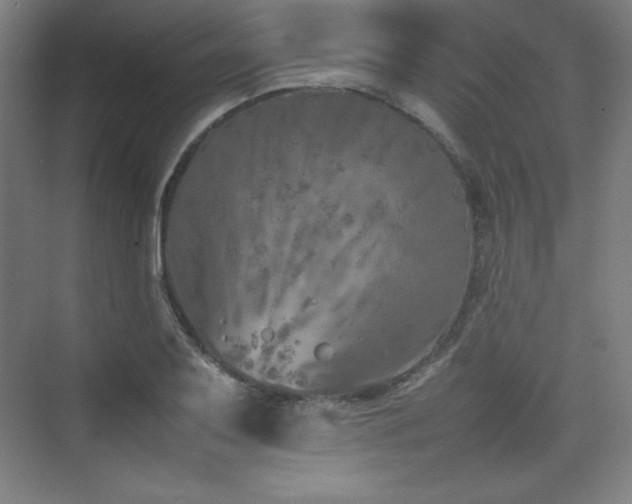 X0000074971079200609011210