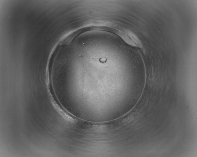 X0000074971080200609011210