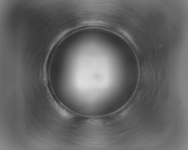 X0000074971082200609011209