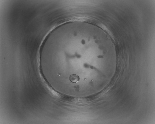 X0000074971083200609011209