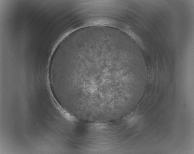 X0000074971086200609011209