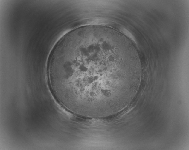 X0000074971087200609011209