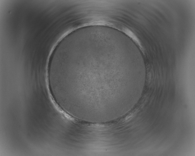 X0000074971088200609011209