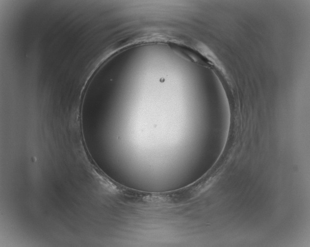 X0000074971089200609011209