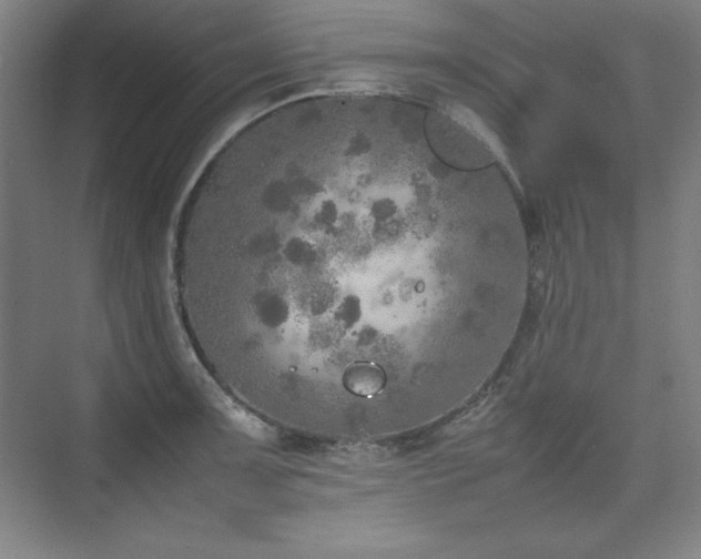 X0000074971091200609011209