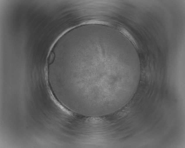 X0000074971092200609011209