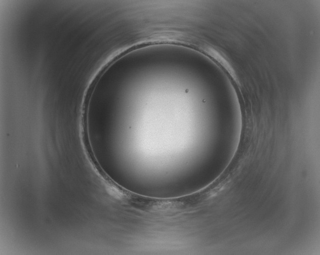 X0000074971093200609011209