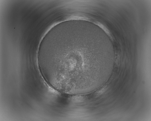 X0000074971094200609011209