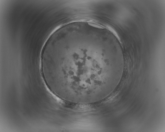 X0000074971095200609011209