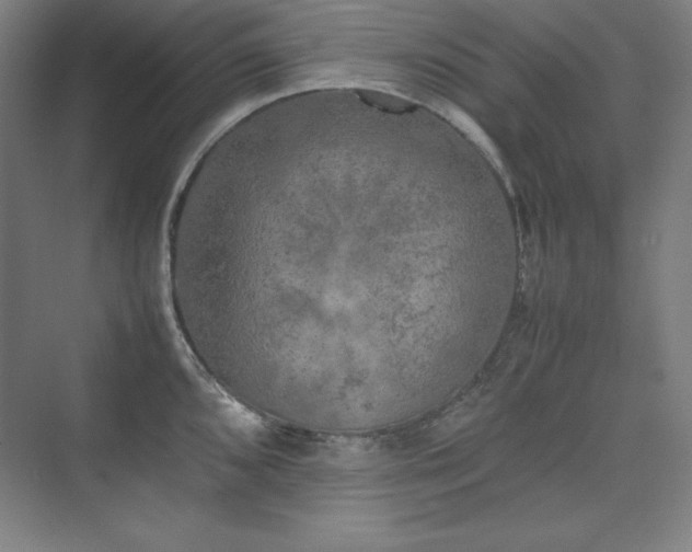 X0000074971096200609011209