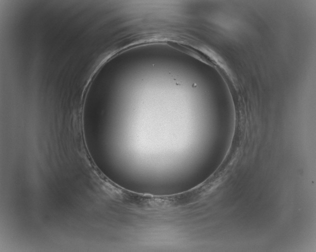 X0000074971097200609011209