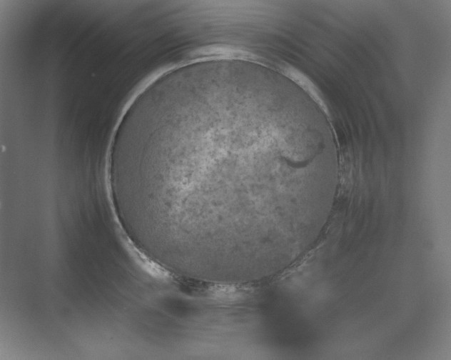 X0000074971098200609011209