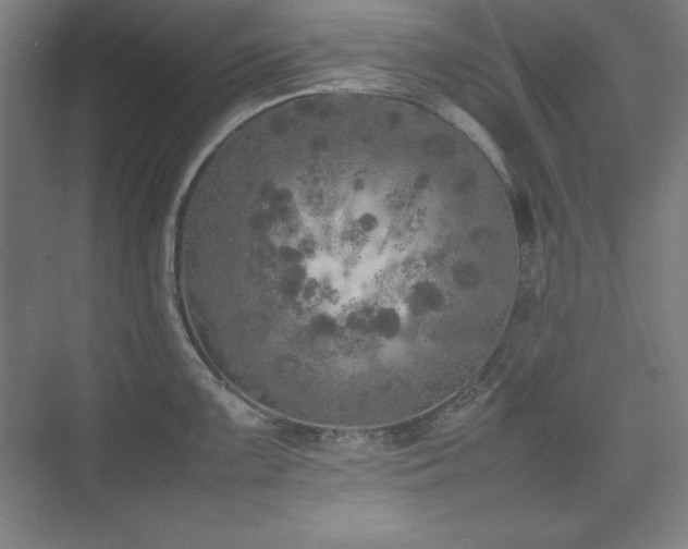 X0000074971099200609011209