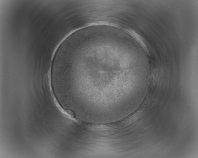 X0000074971100200609011209