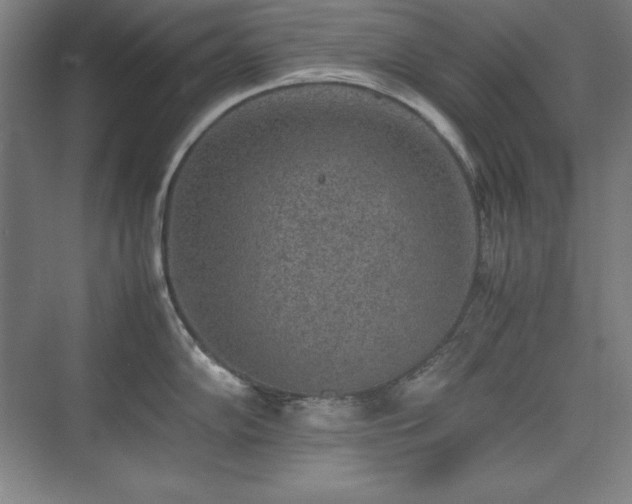 X0000074971102200609011209