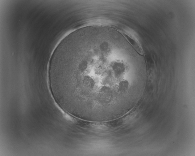 X0000074971103200609011209