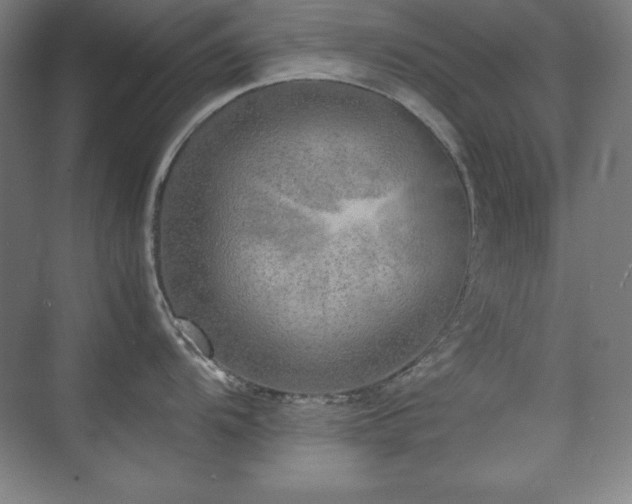 X0000074971104200609011209