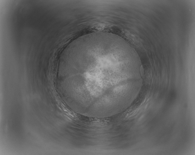 X0000074971105200609011208