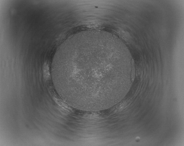 X0000074971106200609011208