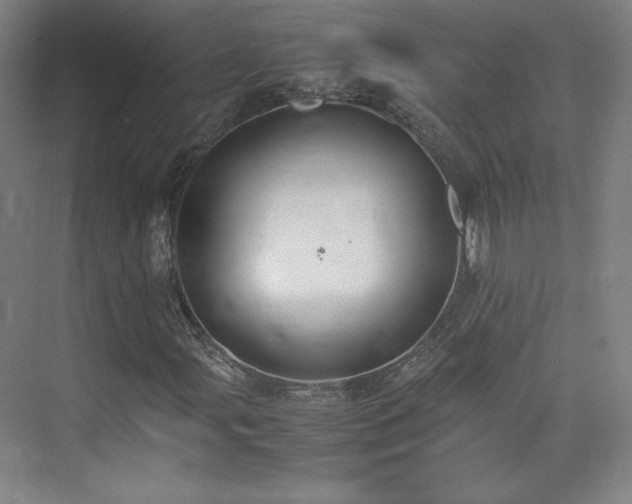 X0000074971107200609011208