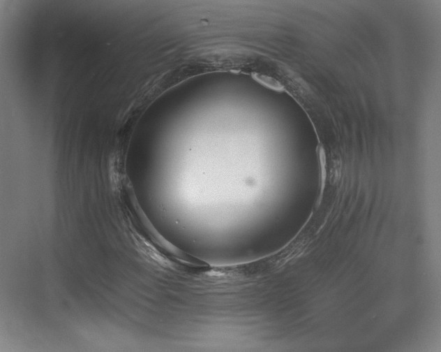 X0000074971108200609011208