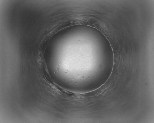 X0000074971109200609011208