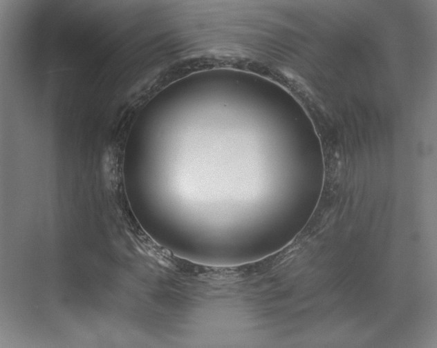 X0000074971110200609011208