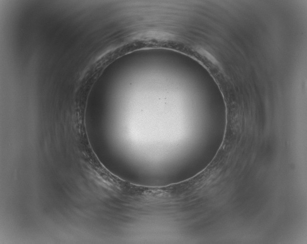 X0000074971112200609011208