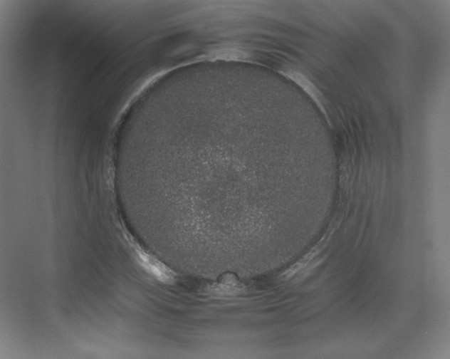 X0000074971115200609011208