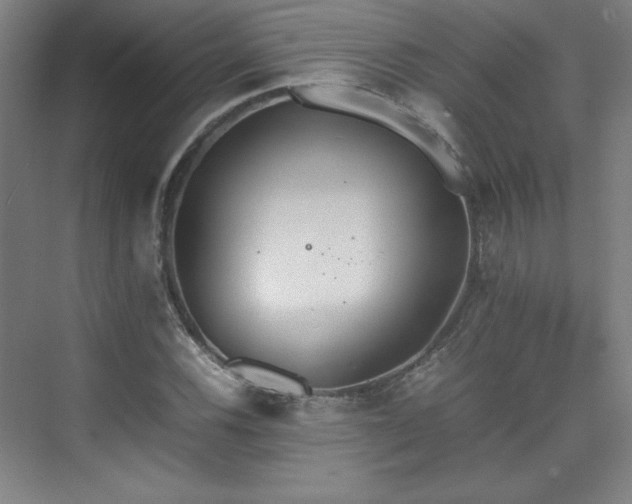 X0000074971116200609011208