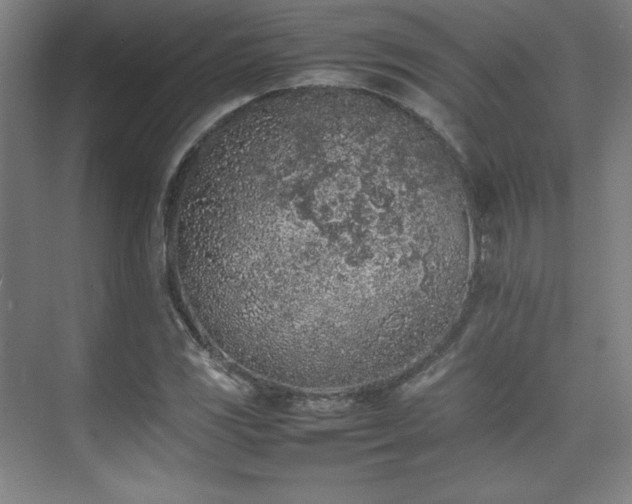 X0000074971117200609011209