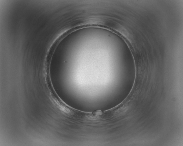 X0000074971119200609011209