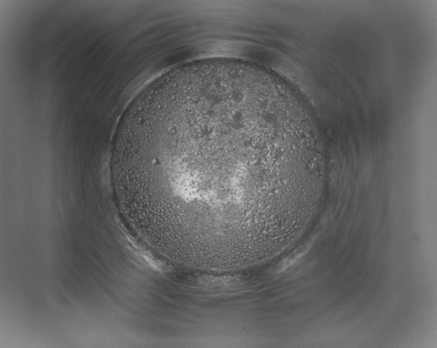 X0000074971121200609011209