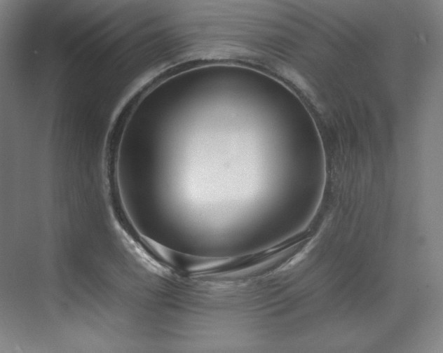 X0000074971122200609011209