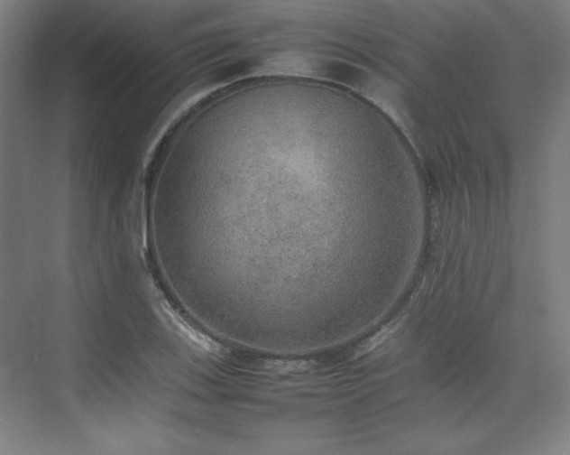 X0000074971123200609011209