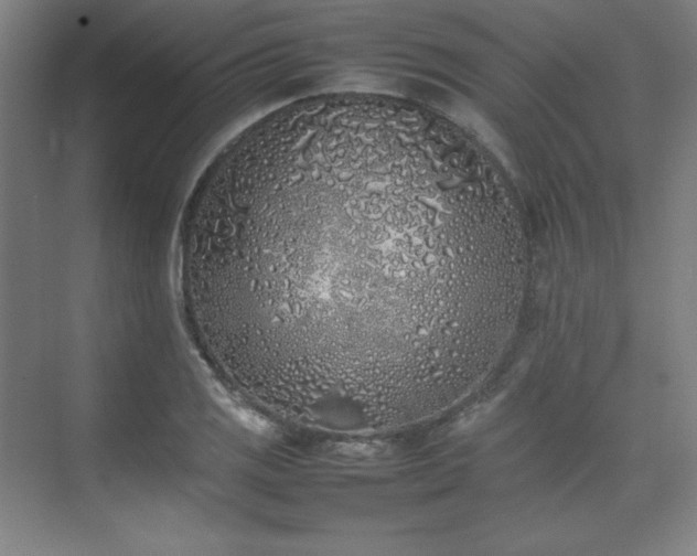 X0000074971125200609011209