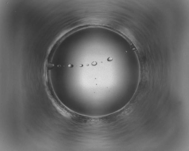 X0000074971128200609011209