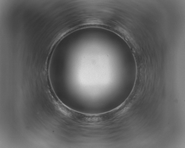 X0000074971129200609011209