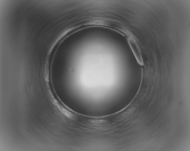 X0000074971131200609011209