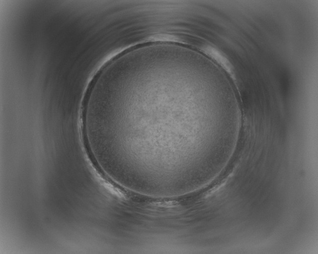 X0000074971133200609011209