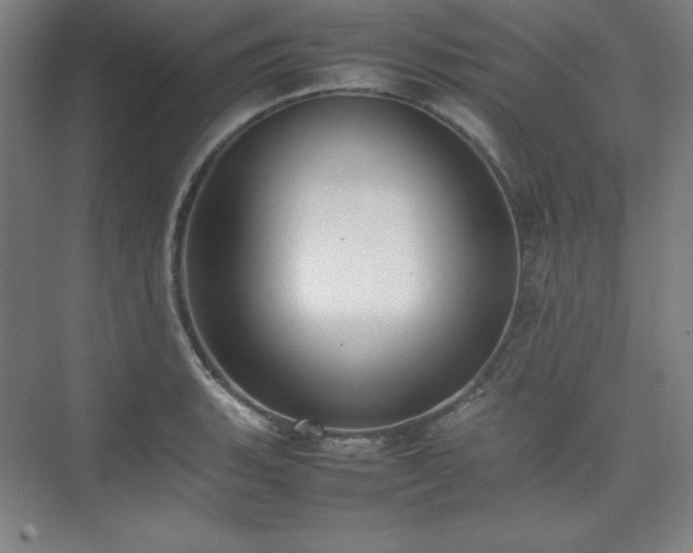 X0000074971135200609011209