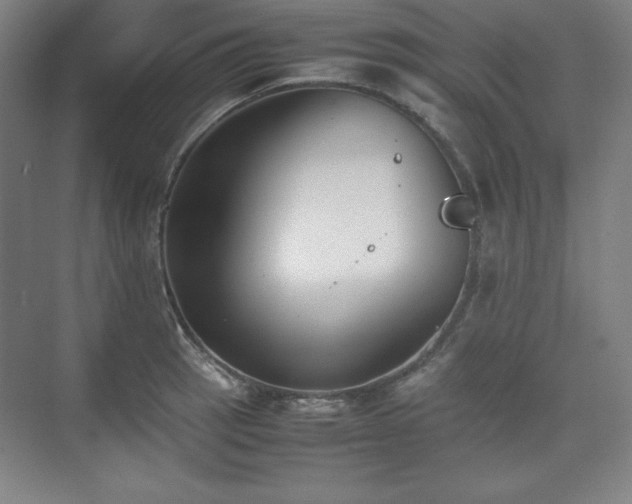 X0000074971137200609011209