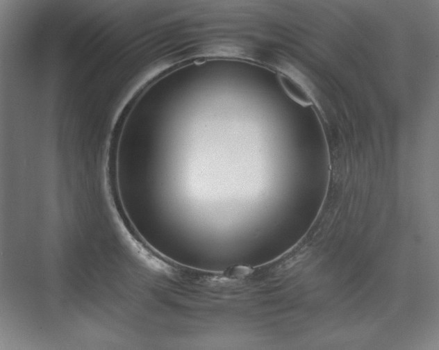 X0000074971139200609011209