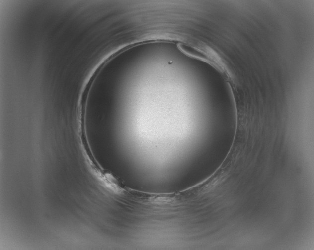 X0000074971140200609011209