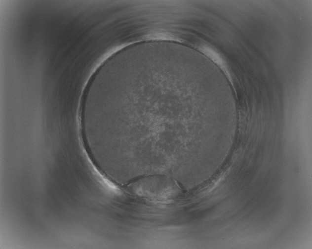 X0000074971141200609011209