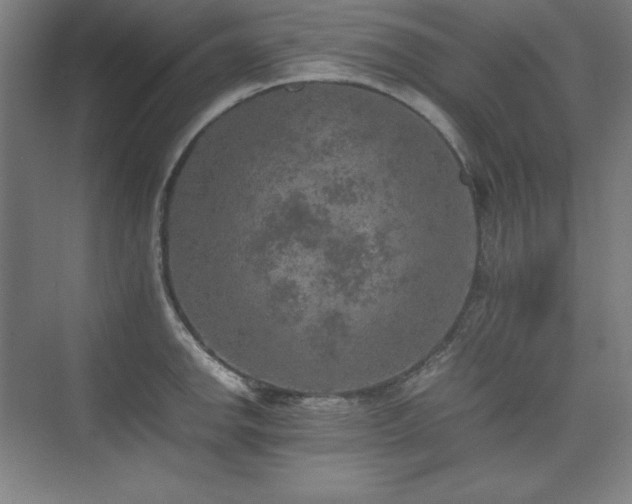 X0000074971142200609011209